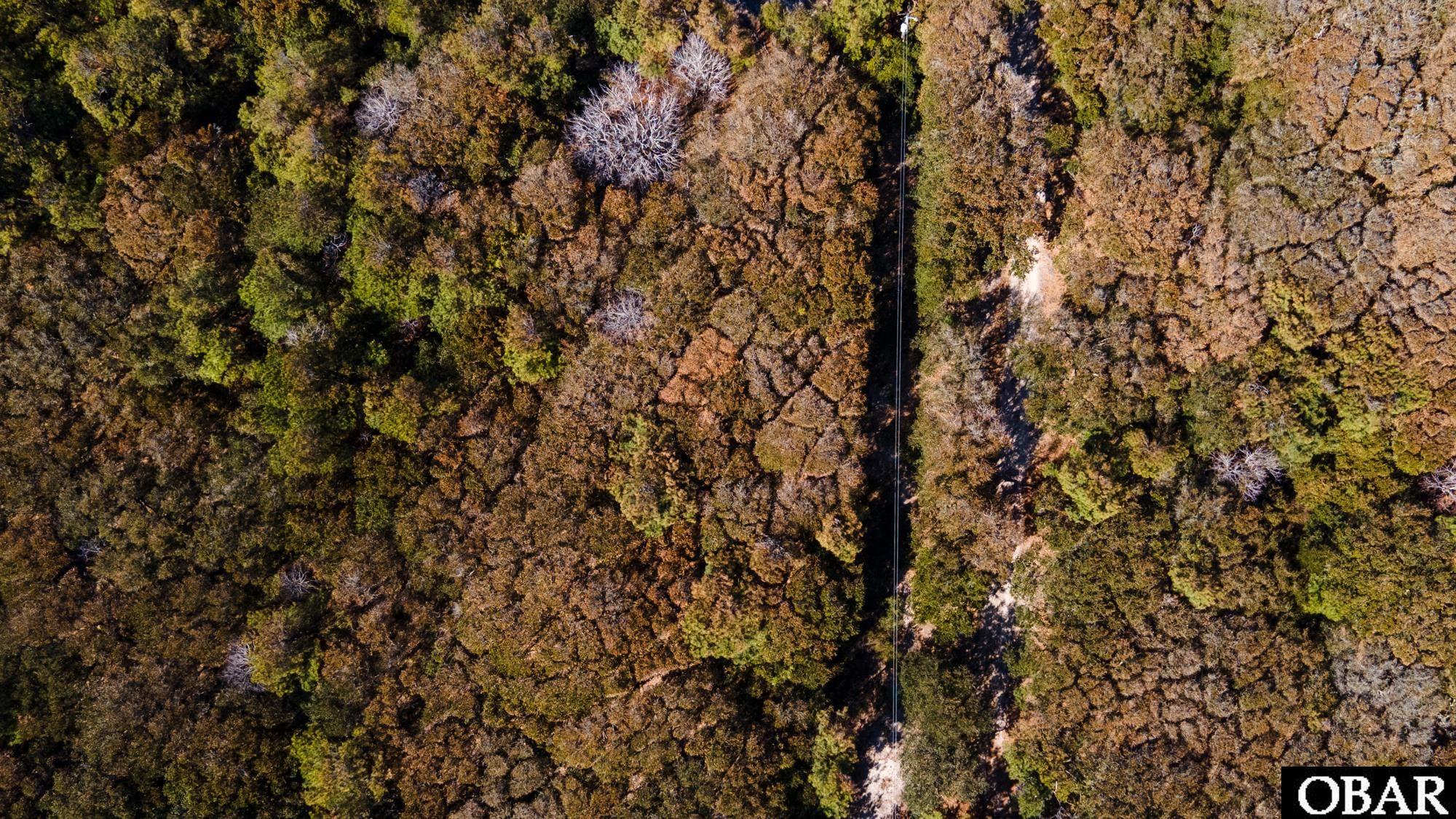 2392 Sandpiper Road Corolla, NC 27927 - Photo 13 of 17