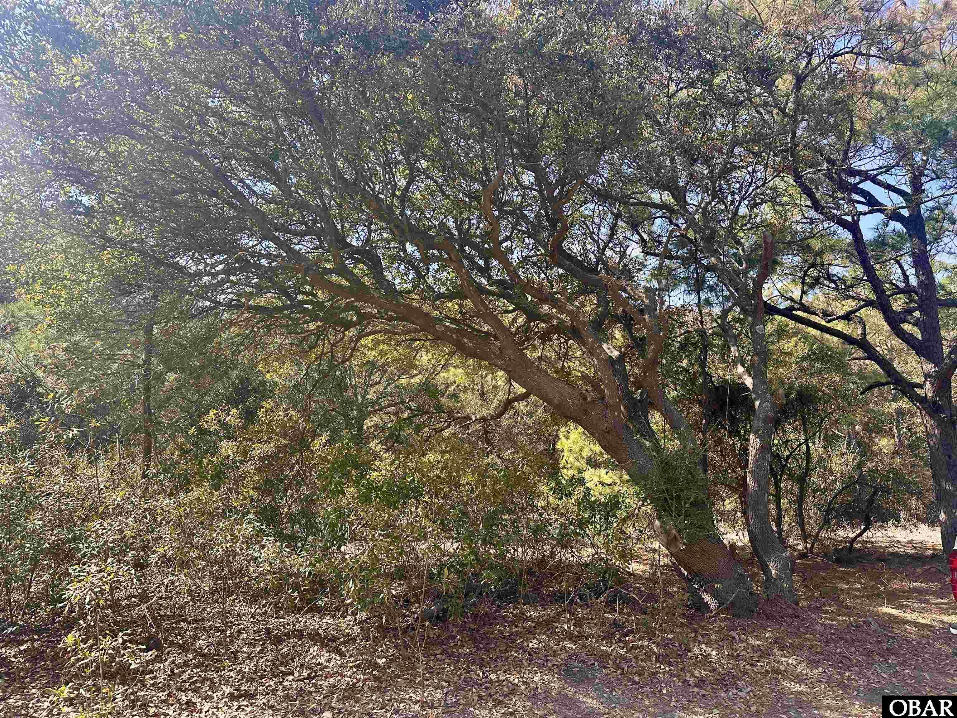 2392 Sandpiper Road Corolla, NC 27927 - Photo 5 of 17