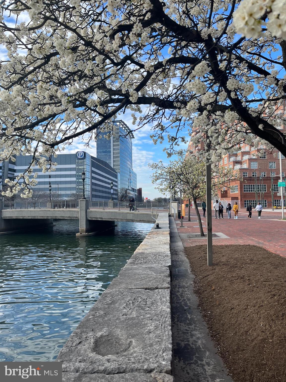 250 President Street, Unit 806 Baltimore, MD 21202 - Photo 19 of 56 Walk along the promenade