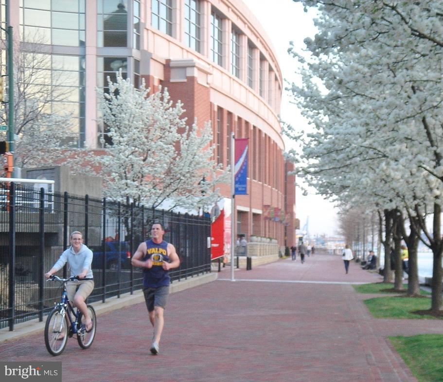 250 President Street, Unit 806 Baltimore, MD 21202 - Photo 41 of 55 Run along the Promenade