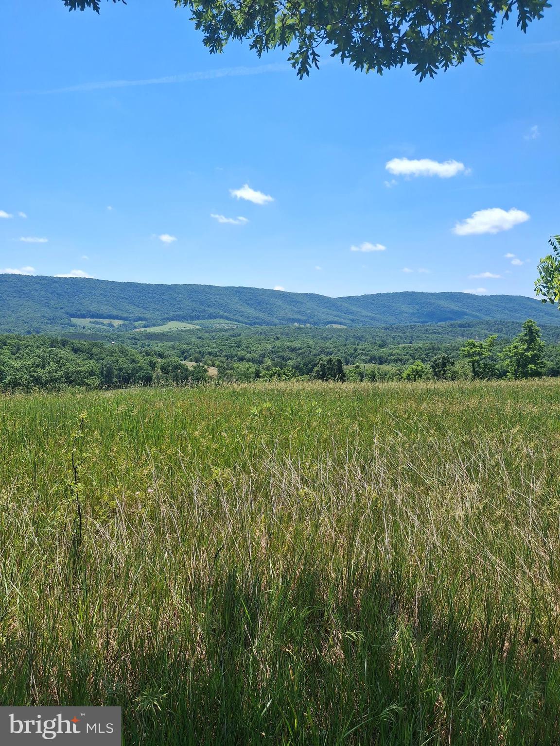 2334 Ash Ruckman Road Augusta, WV 26704 - Photo 5 of 72 Wonderful Views