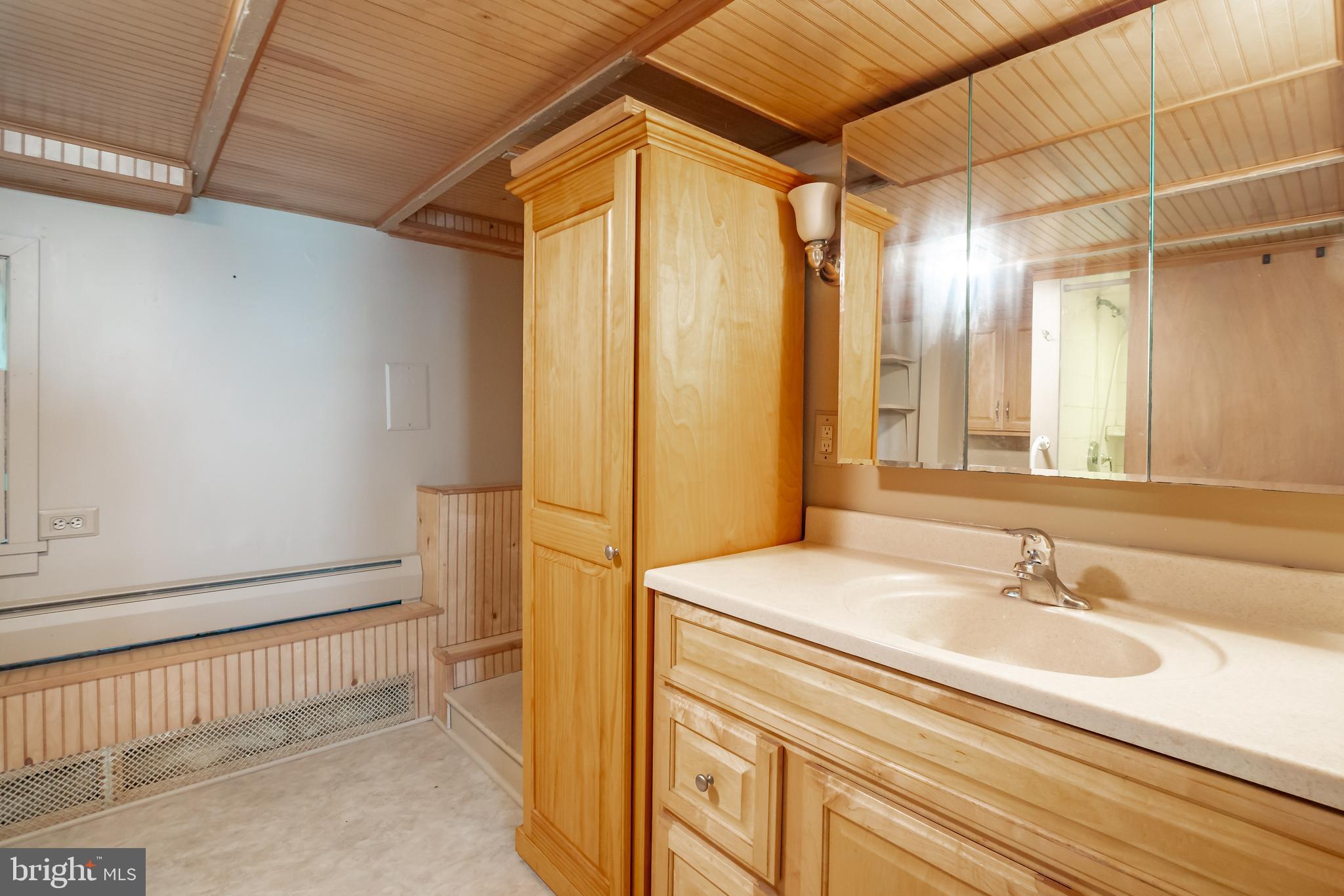 329 Walnut Street Spring City, PA 19475 - Photo 56 of 67 329 Carriage House - Bathroom 1