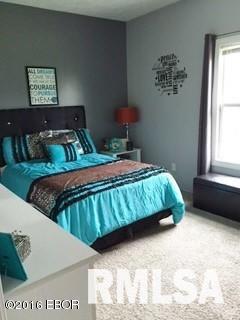 14038 Timberline Road Marion, IL 62959 - Photo 8 of 12 Gallery Image 8