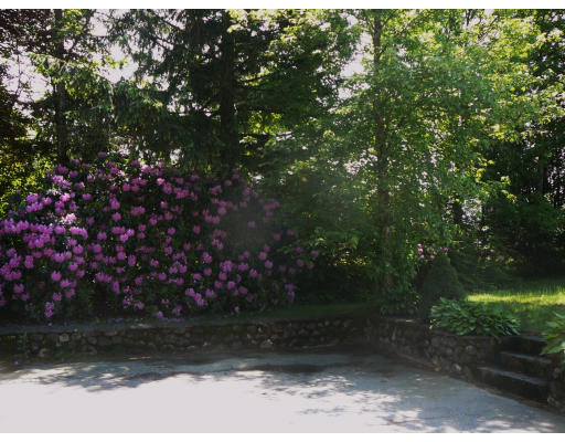 75 Holmes Street Halifax, MA 02338 - Photo 16 of 29 a view of yard with green space
