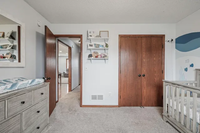 $375,000 | 386 Greenway Drive, Delano, MN 55328