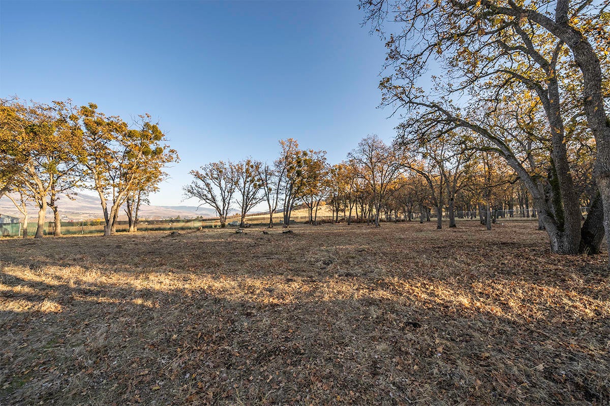 6633 Rapp Lane Talent, OR 97540 - Photo 47 of 58 DSC04215-HDR