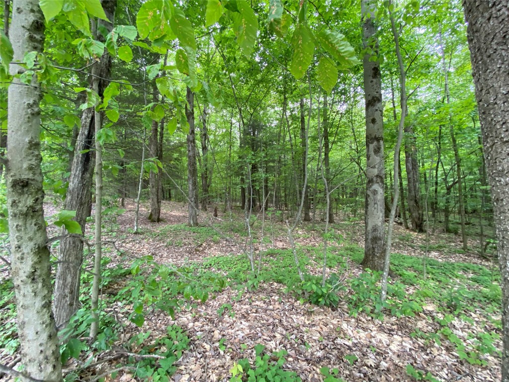 0 Gross Road New Lisbon, NY 13415 - Photo 1 of 14
