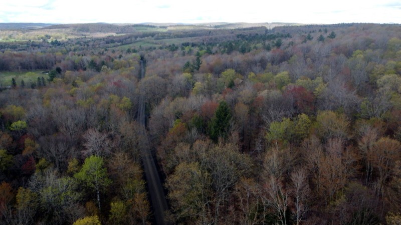 0 Gross Road New Lisbon, NY 13415 - Photo 11 of 14