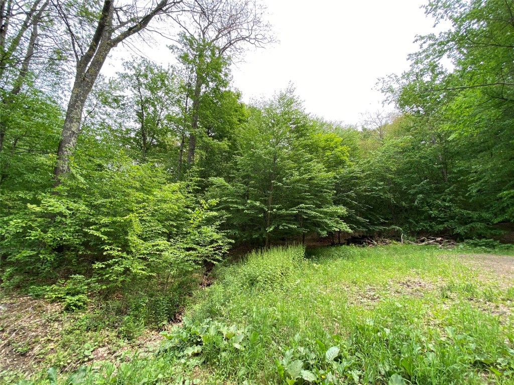 0 Gross Road New Lisbon, NY 13415 - Photo 2 of 14