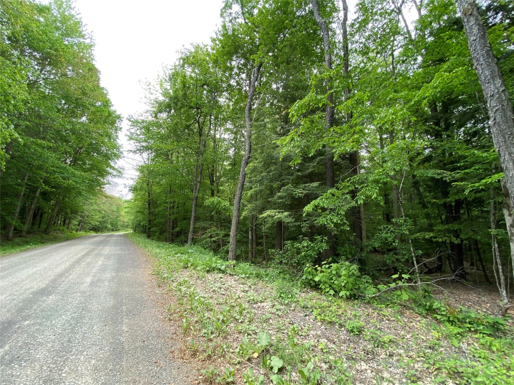 0 Gross Road New Lisbon, NY 13415 - Photo 3 of 14