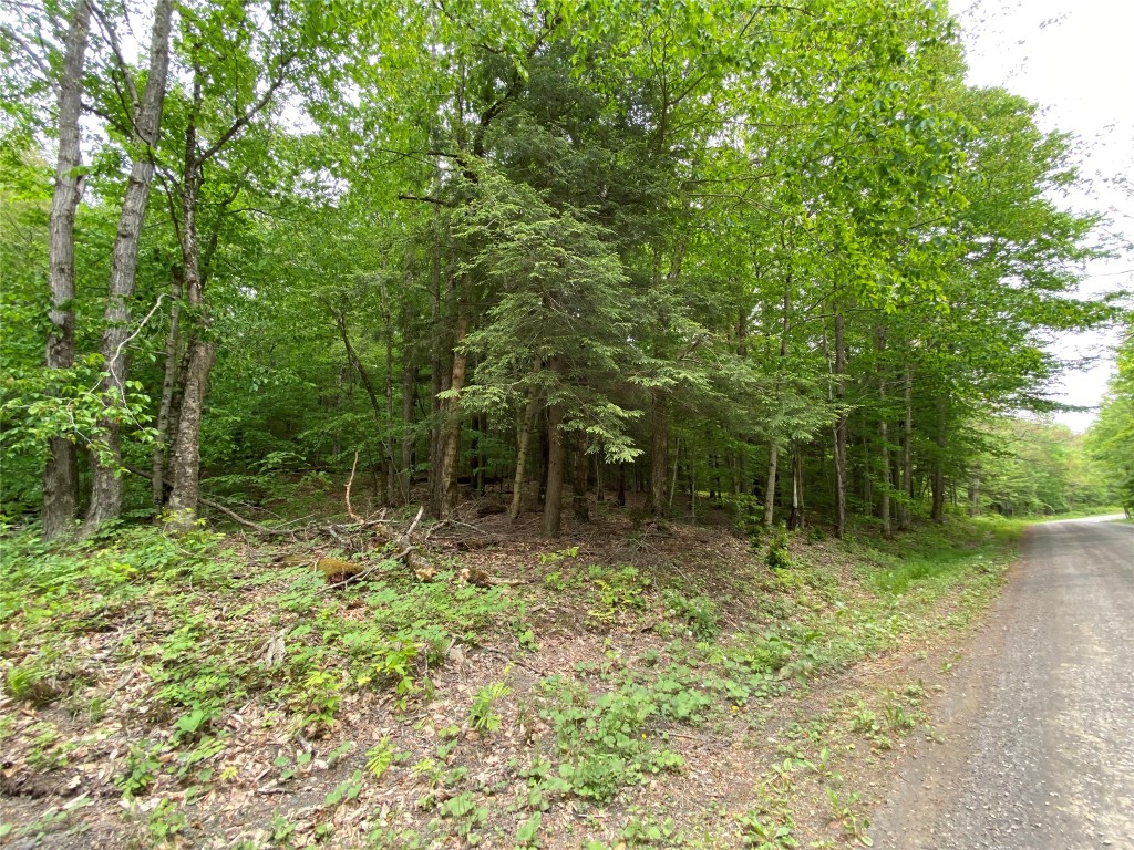 0 Gross Road New Lisbon, NY 13415 - Photo 4 of 14