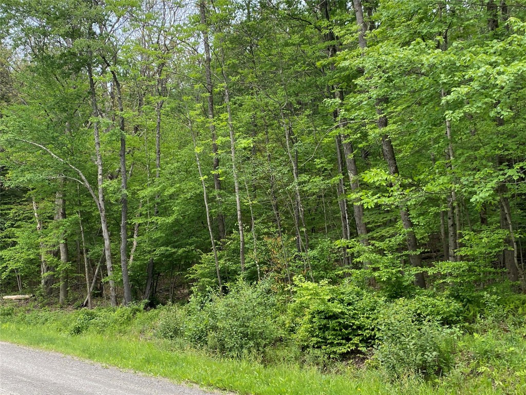 0 Gross Road New Lisbon, NY 13415 - Photo 5 of 14
