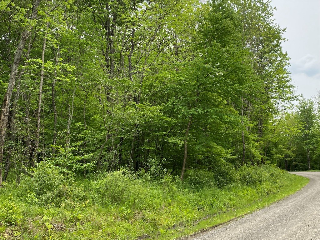 0 Gross Road New Lisbon, NY 13415 - Photo 6 of 14