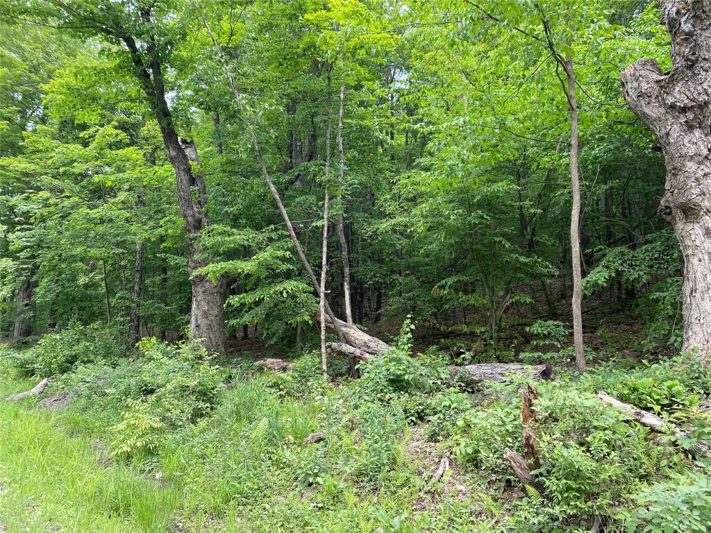 0 Gross Road New Lisbon, NY 13415 - Photo 7 of 14