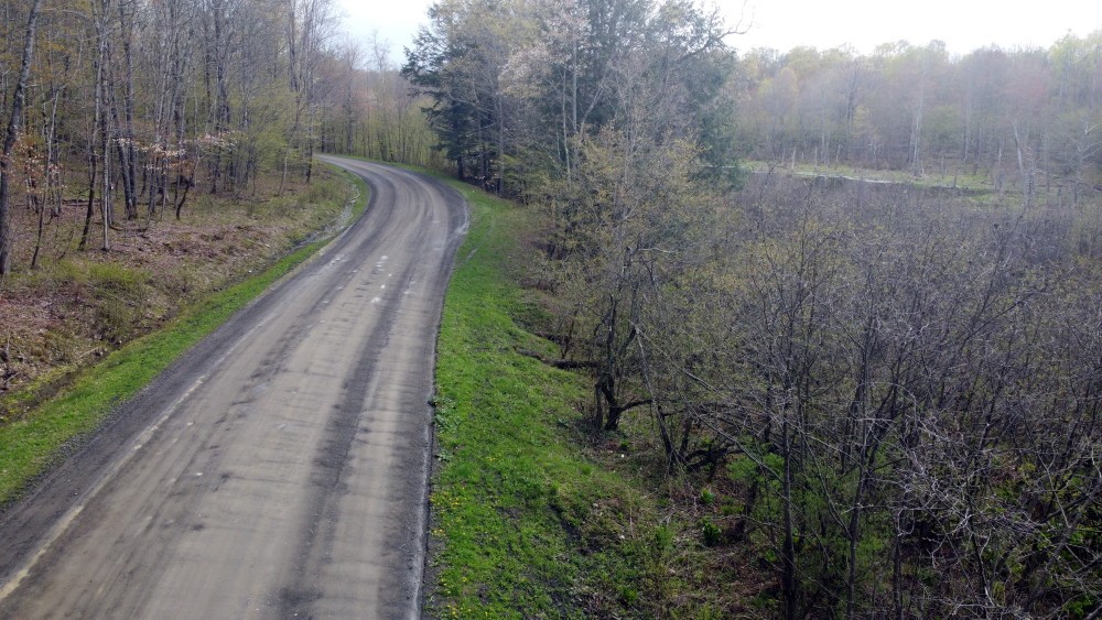 0 Gross Road New Lisbon, NY 13415 - Photo 9 of 14