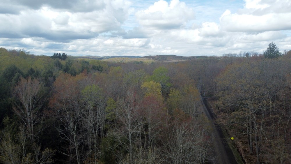 0 Gross Road New Lisbon, NY 13415 - Photo 10 of 14