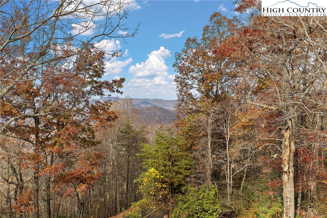 2935 Buck Mountain Road Purlear, NC 28665 - Photo 13 of 49