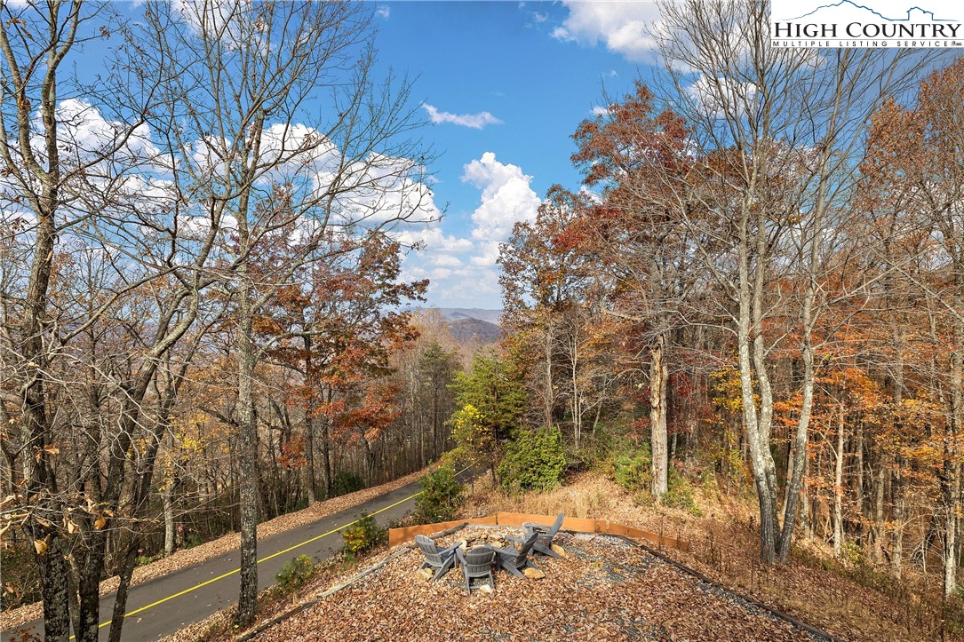 2935 Buck Mountain Road Purlear, NC 28665 - Photo 14 of 49 a view of a yard