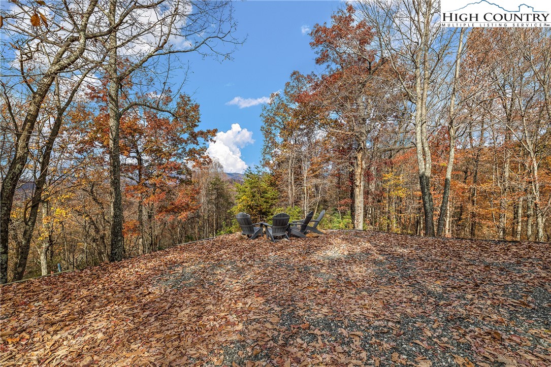 2935 Buck Mountain Road Purlear, NC 28665 - Photo 3 of 49 a view of a backyard with large trees