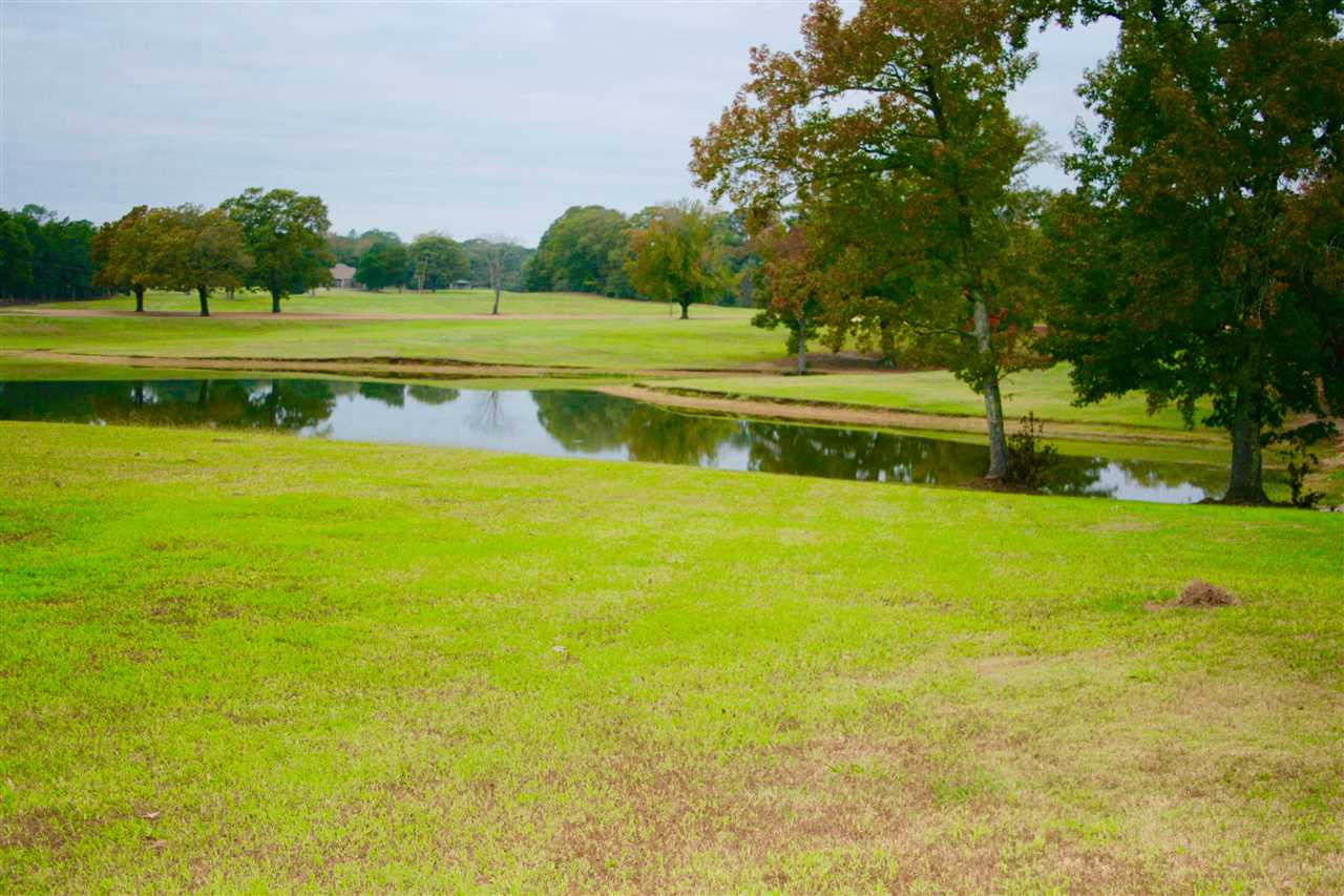 200 Wildwood Road Benton, MS 39039 - Photo 7 of 36 Photo 7