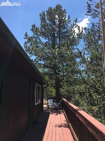 260 Beaver Pond Road Divide, CO 80814 - Photo 5 of 13 Gallery Image 5