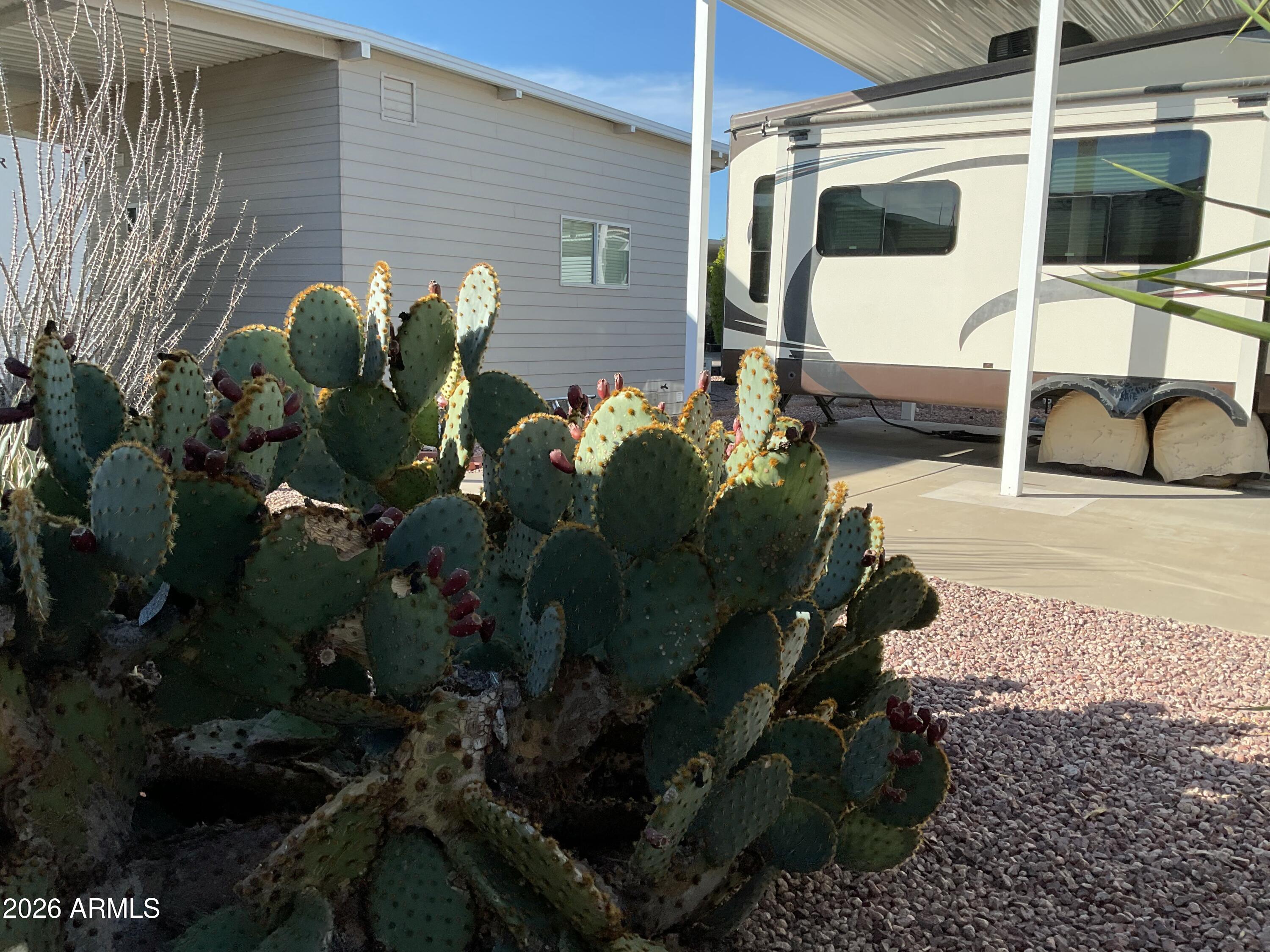 17200 West Bell Road, Unit 1383 Surprise, AZ 85374 - Photo 8 of 13 IMG_0968