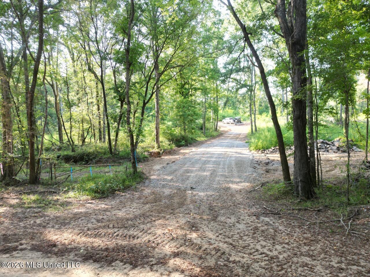 Well's Road Fayette, MS 39069 - Photo 19 of 45 DJI_0514 Large