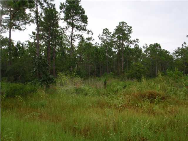 22-2 7th Street Santa Rosa Beach, FL 32459 - Photo 2 of 7 a view of a lush green space
