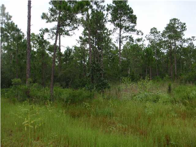 22-2 7th Street Santa Rosa Beach, FL 32459 - Photo 3 of 7 a view of a lush green space