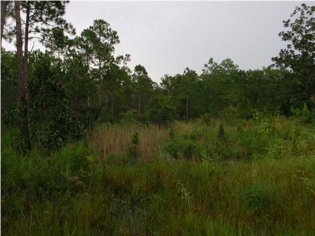 22-2 7th Street Santa Rosa Beach, FL 32459 - Photo 4 of 7 a view of a lush green space