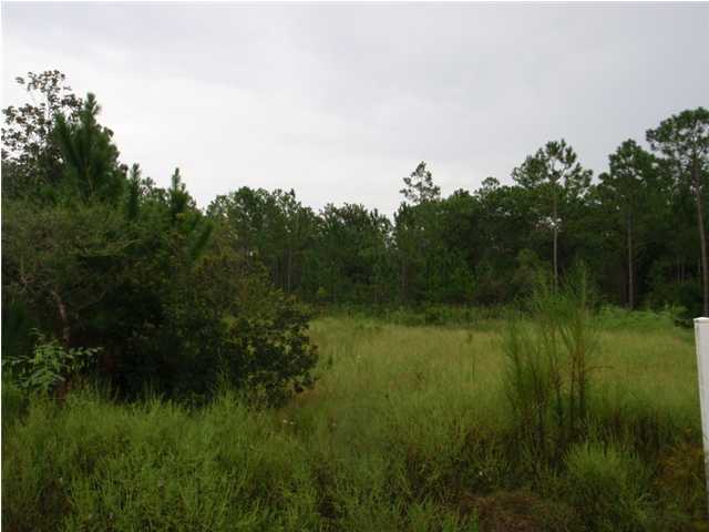 22-2 7th Street Santa Rosa Beach, FL 32459 - Photo 6 of 7 a view of a lush green space