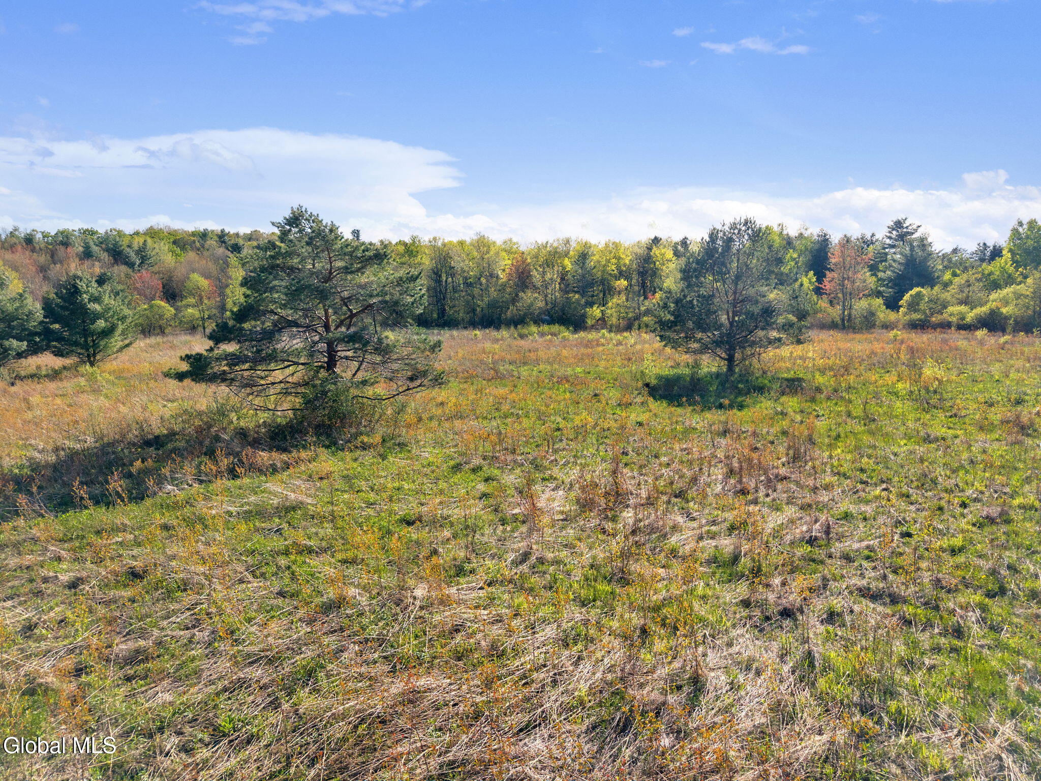 1054 Esperance Road Charleston, NY 12066 - Photo 42 of 42 42-1054EsperanceRd_42