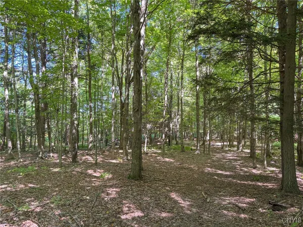 $18,500,000 | 110 Partrick Drive, Richland, NY 13142