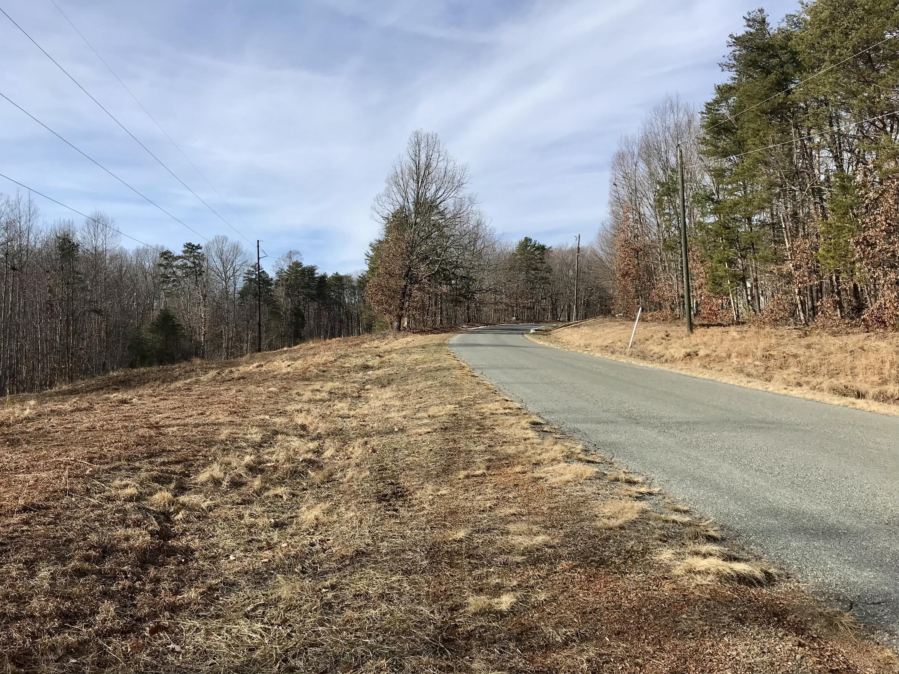 0 Spring Road Hurt, VA 24563 - Photo 12 of 12 a view of empty space with mountain