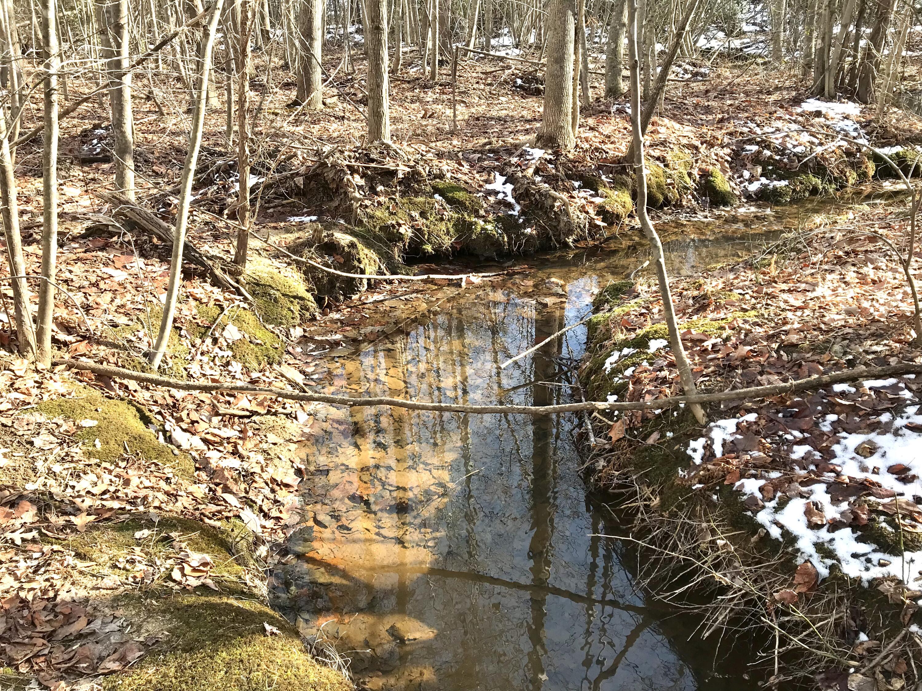0 Spring Road Hurt, VA 24563 - Photo 7 of 12