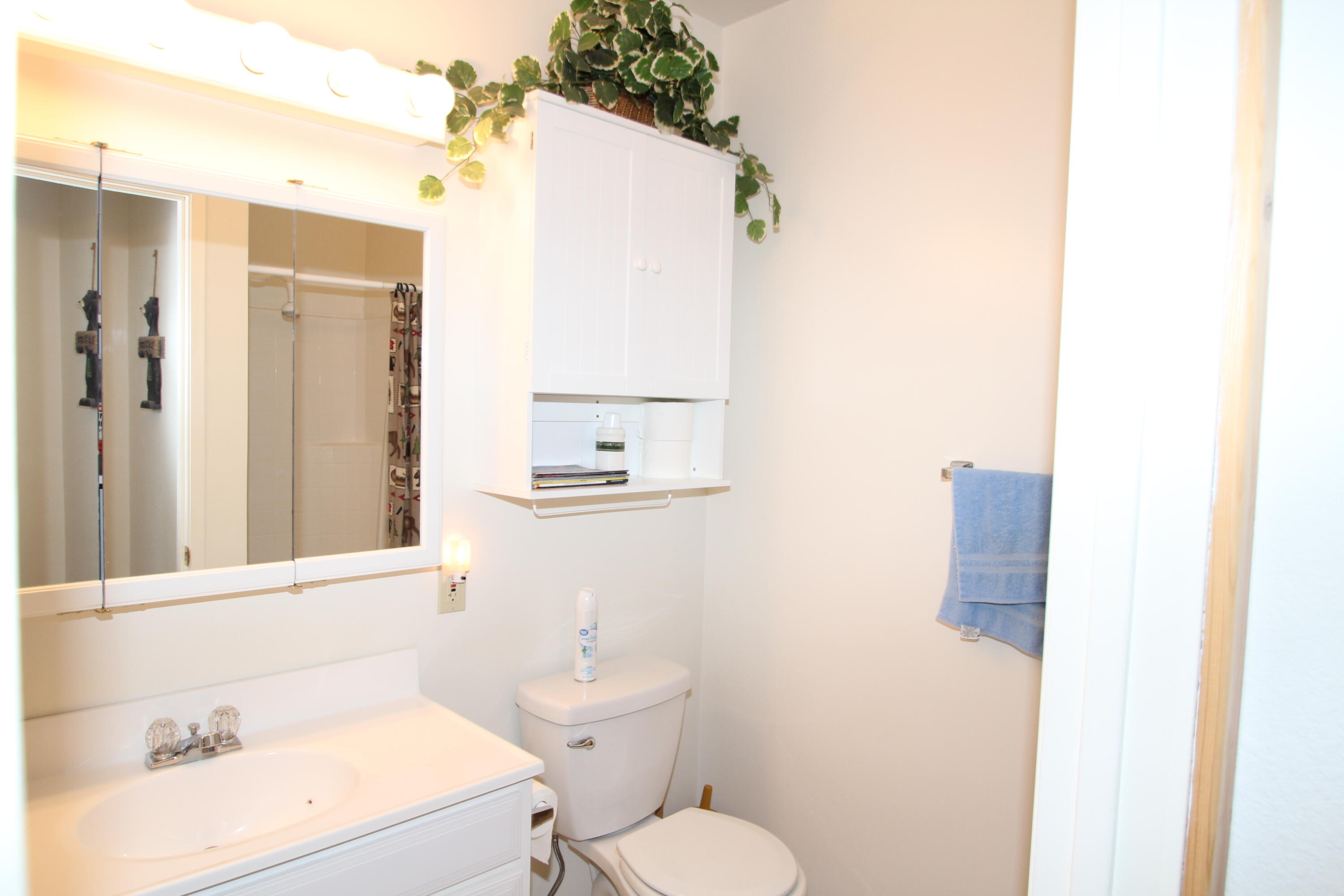 603 Legar Drive Springville, CA 93265 - Photo 21 of 46 Main level hall bath
