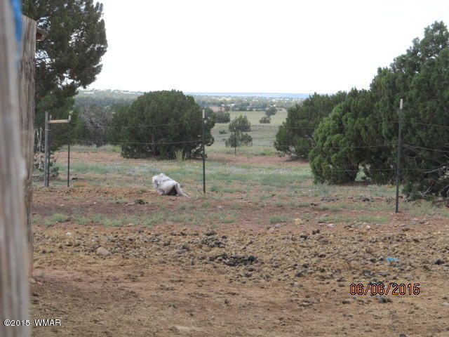 Lot 011 County Road Concho, AZ 85924 - Photo 29 of 31 Gallery Image 29