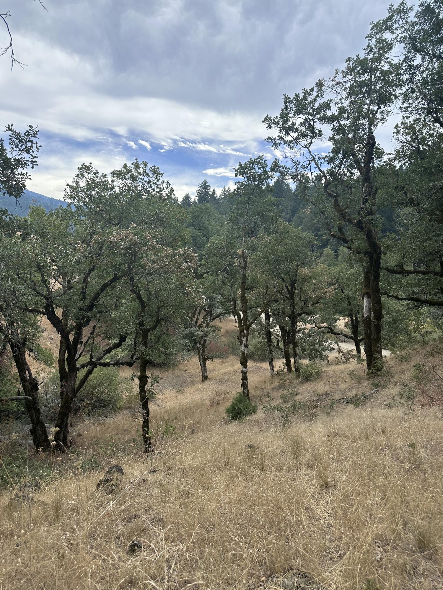 0 River Road Miranda, CA 95553 - Photo 26 of 31