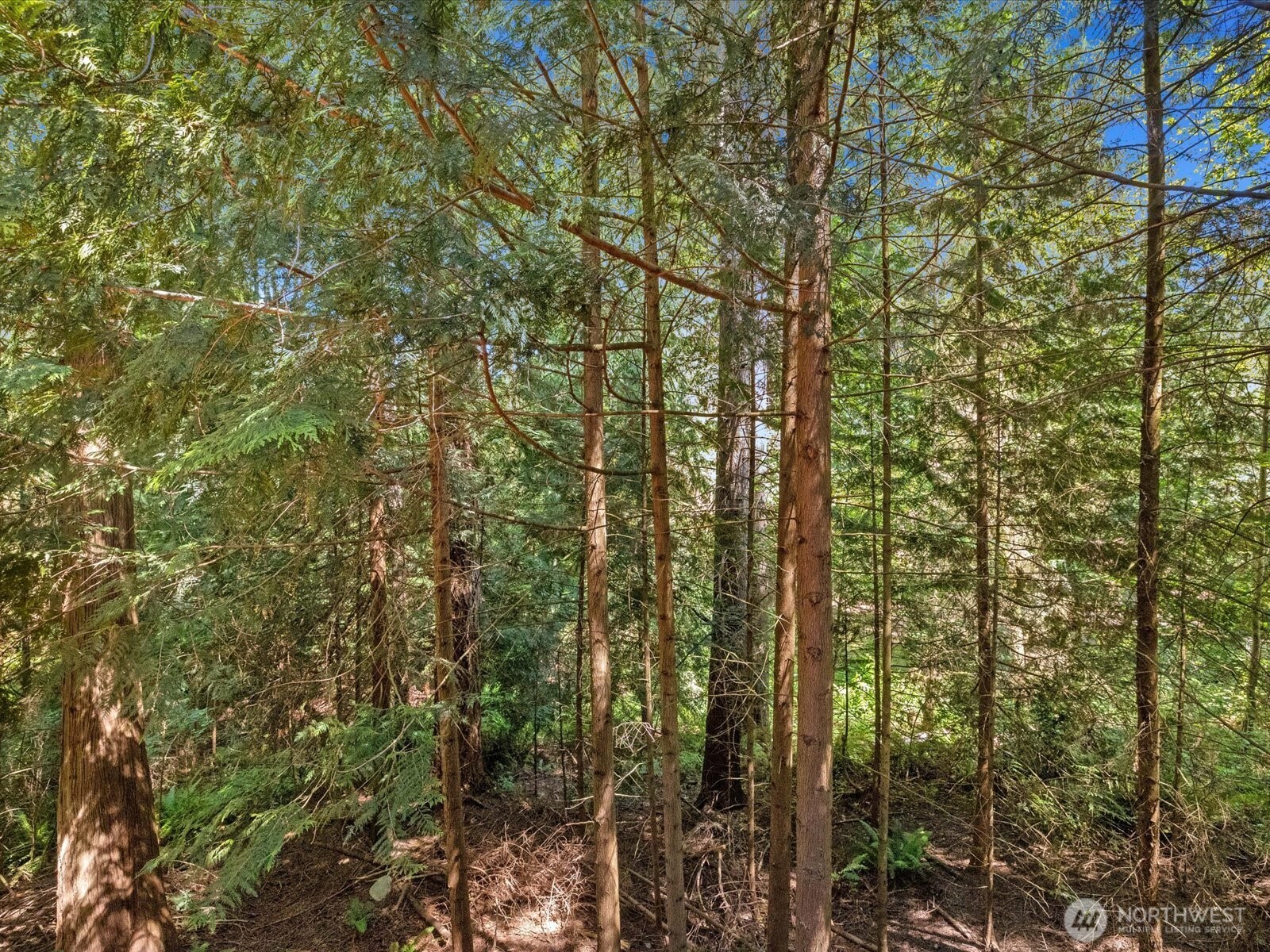17116 Gravenstein Road Bothell, WA 98012 - Photo 24 of 29