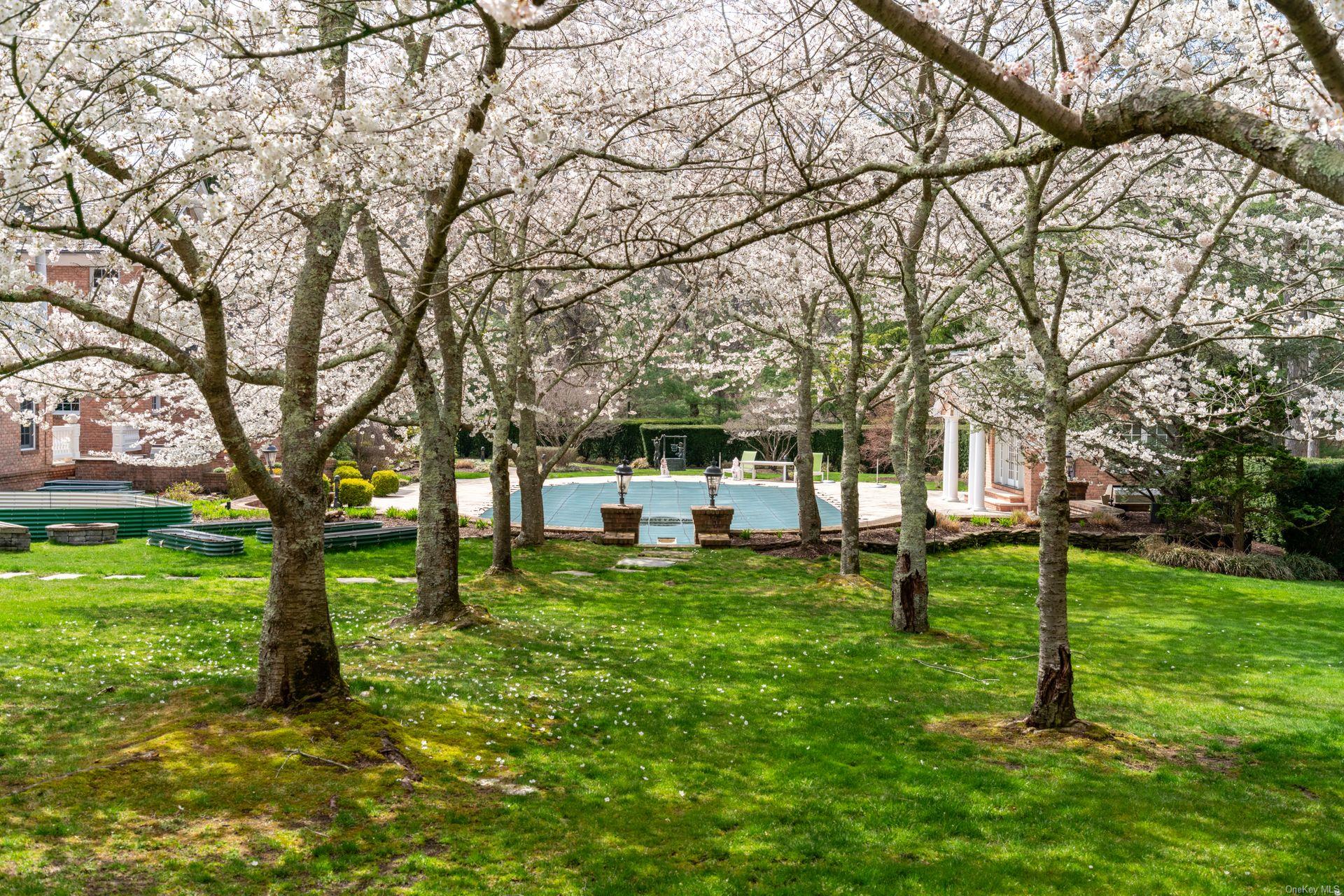 660 Chicken Valley Road Locust Valley, NY 11560 - Photo 36 of 50 a view of a park with a tree
