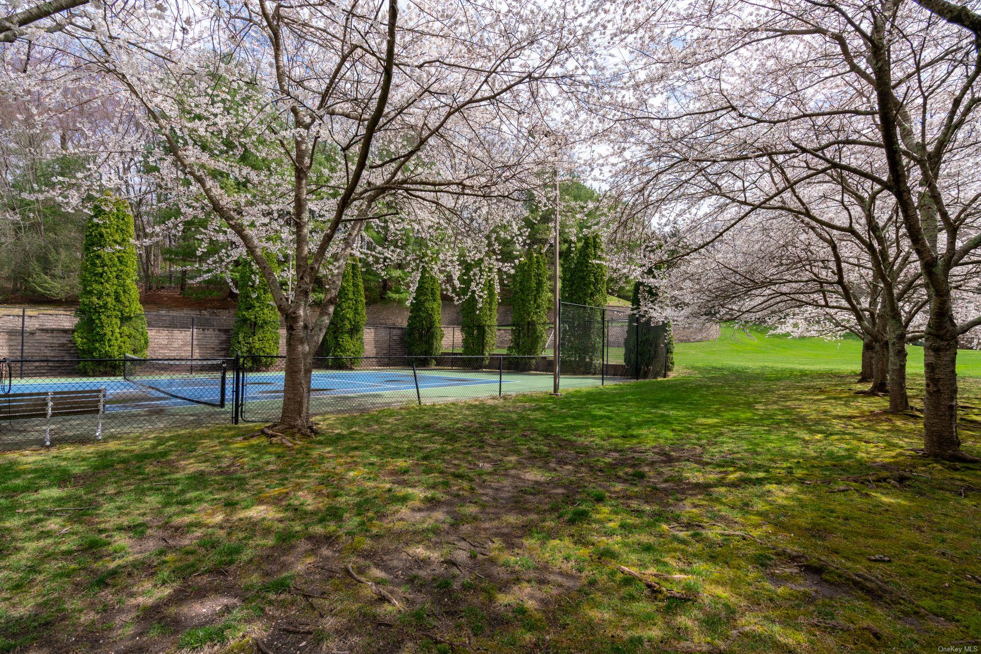 660 Chicken Valley Road Locust Valley, NY 11560 - Photo 37 of 50 a view of a backyard with large trees