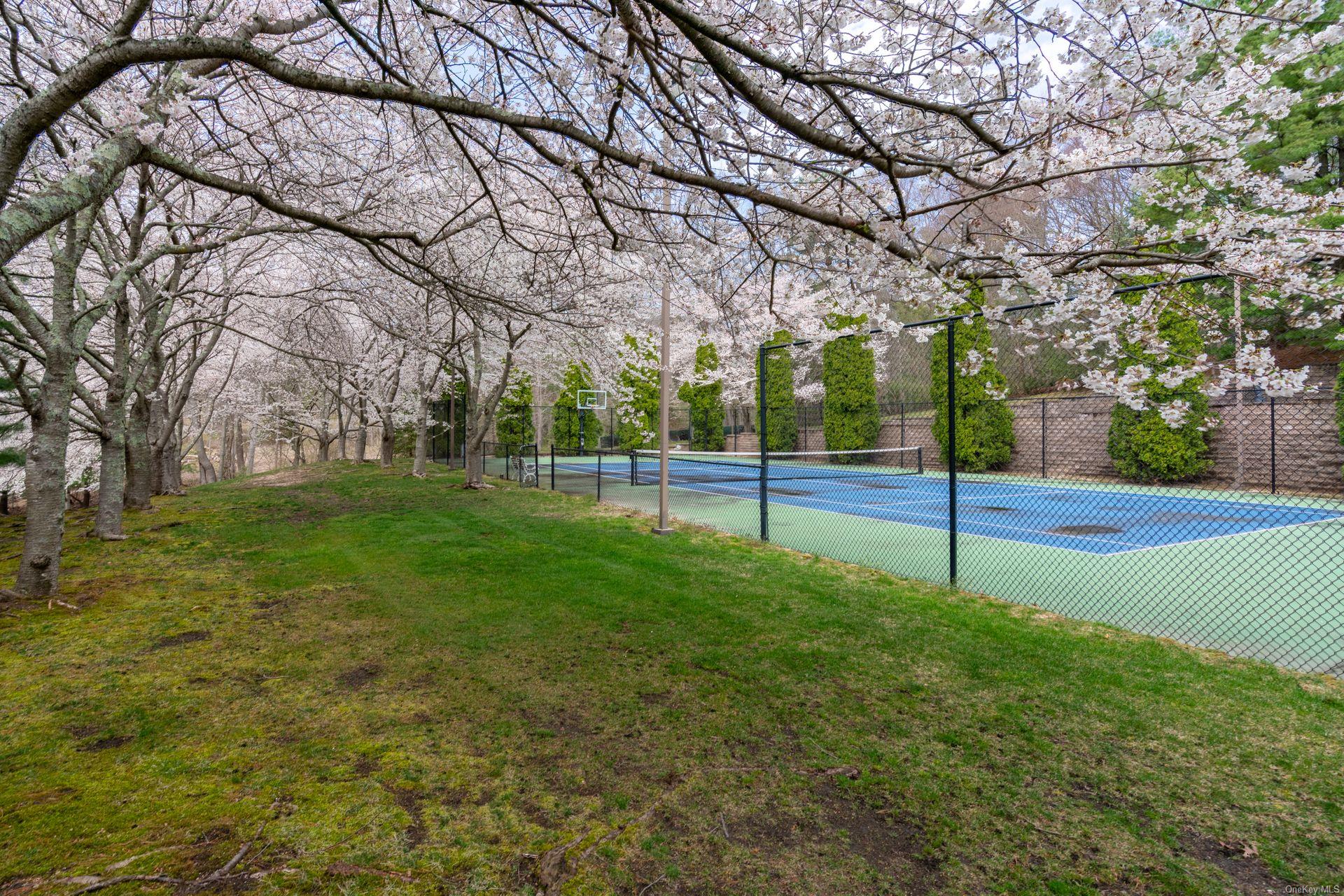 660 Chicken Valley Road Locust Valley, NY 11560 - Photo 38 of 50 a view of a park with large trees