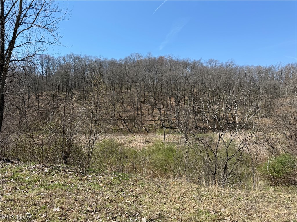 0 Kragel Road Richmond, OH 43944 - Photo 19 of 31