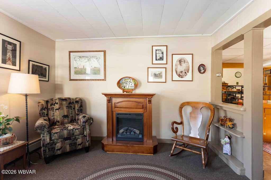 18 Swamp Poodle Road Muncy Valley, PA 17758 - Photo 3 of 32 As You Enter