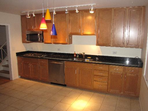 2910 Scottlynne Drive Park Ridge, IL 60068 - Photo 2 of 14