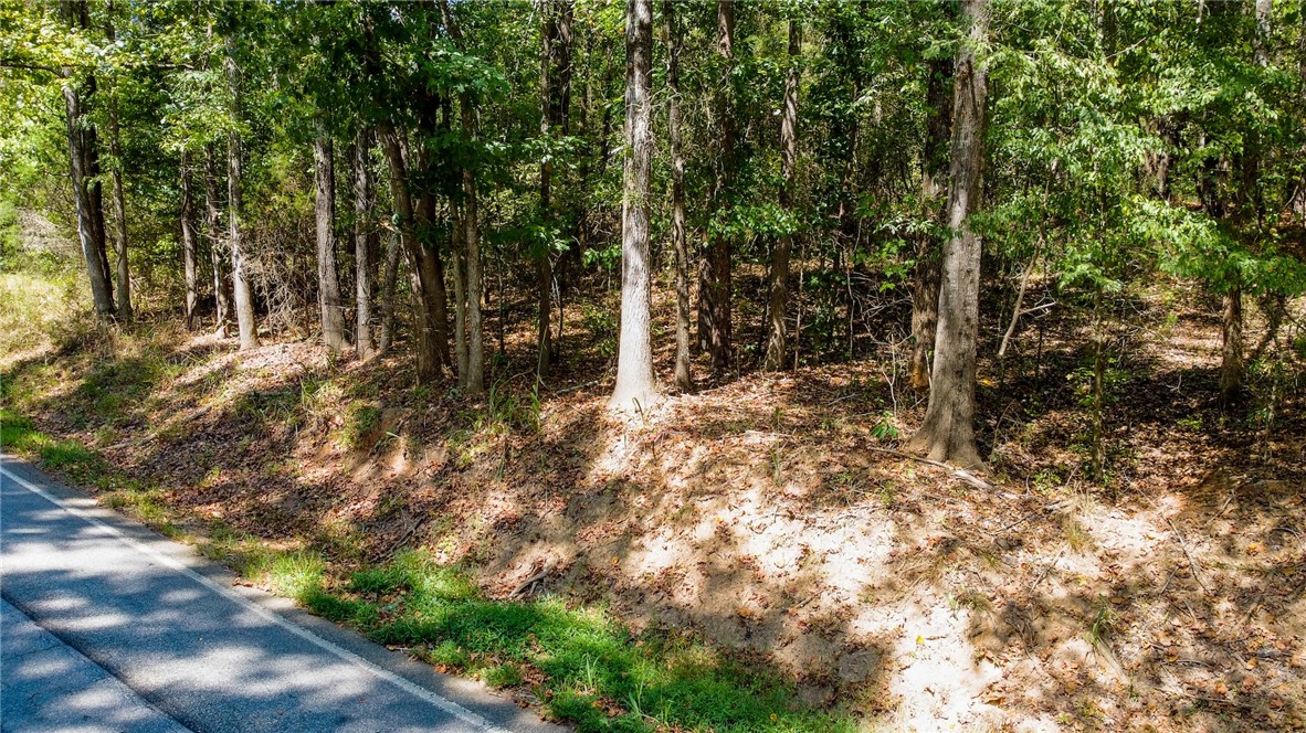 Lot 17 Whiten Road Belton, SC 29627 - Photo 3 of 7 Gallery Image 3
