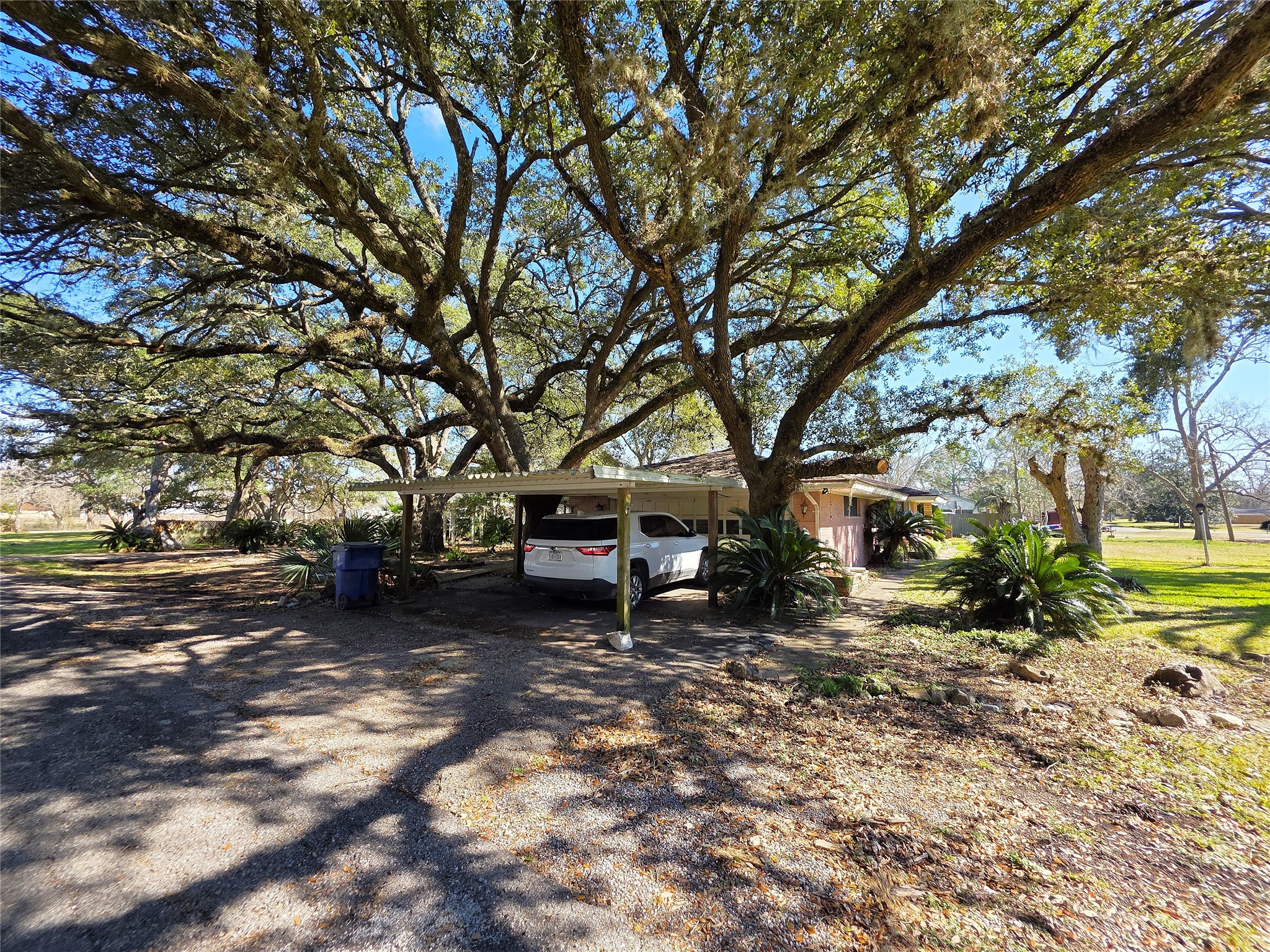 706 Maple Street Sweeny, TX 77480 - Photo 42 of 42 a view of a yard with a tree
