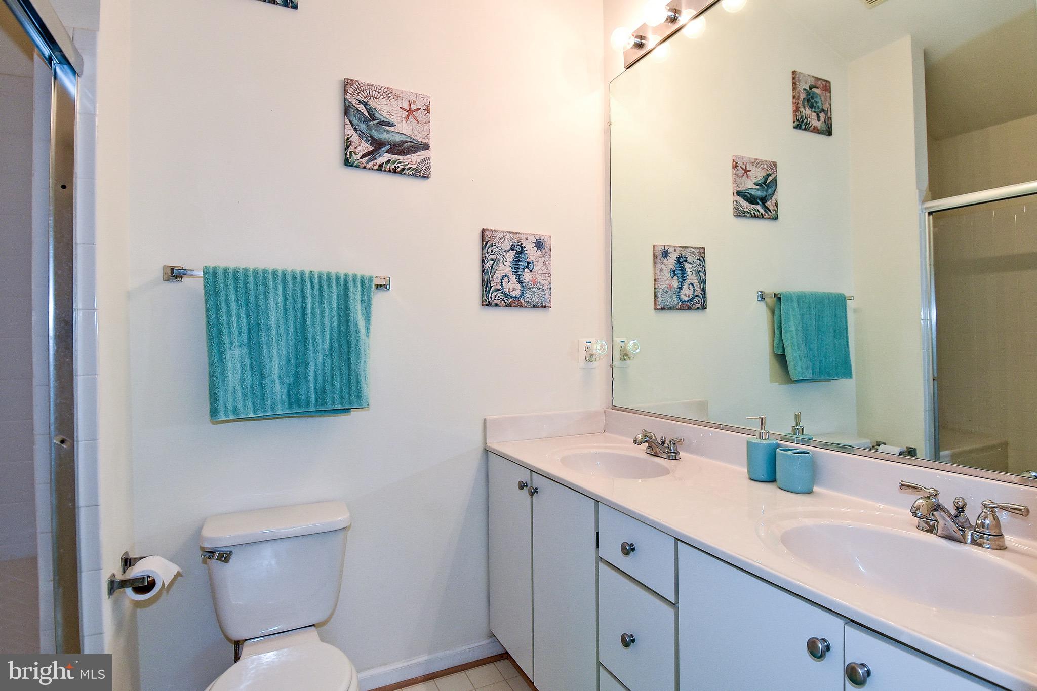 11438 Heritage Commons Way Reston, VA 20194 - Photo 24 of 35 Main Bedroom Bath