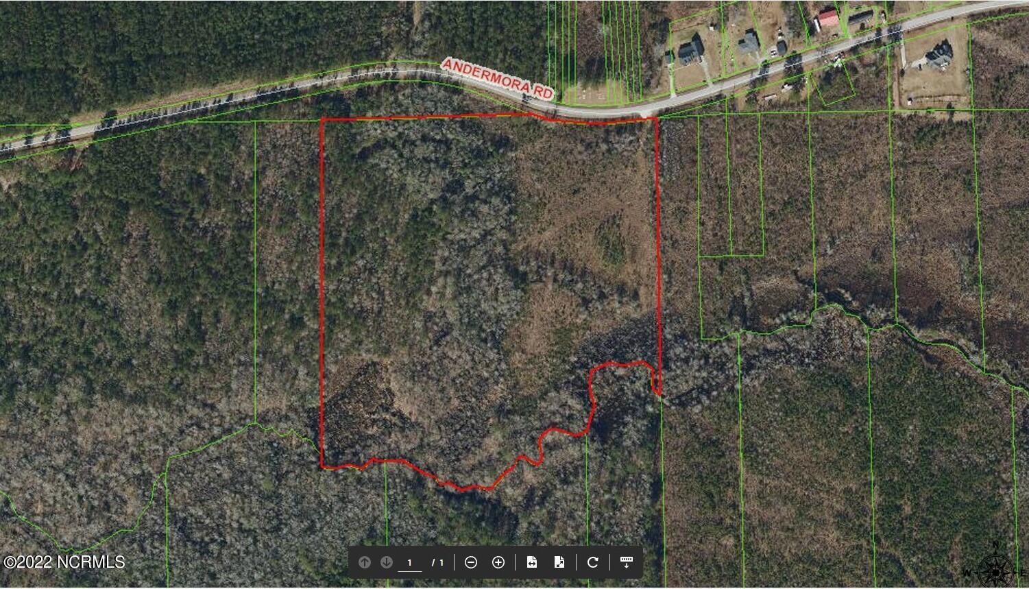 4 Andermora Road Maple Hill, NC 28454 - Photo 1 of 22 Andermora Rd 24.7 Acres