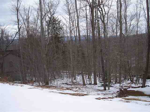 23 Brookside Road Davis, WV 26260 - Photo 4 of 20 Gallery Image 4